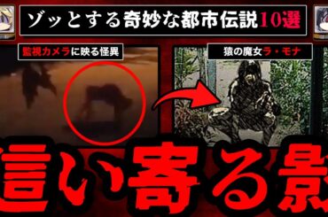 【這い寄る影】ゾッとする怖い話/都市伝説/不思議な話10選【ゆっくり解説】