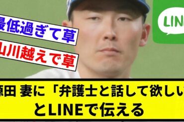 【源田 失踪どころじゃなかった】源田、妻の衛藤美彩に「弁護士と話して欲しい」と男らしくLINEで伝える　【プロ野球反応集】【2chスレ】【なんG】