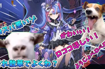 【鳴潮】　完凸ツバキにロココは必要か？　迫真ディベート部・引くの裏技　＃猫ミーム　＃猫マニ