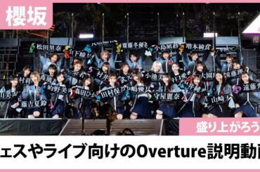 【櫻坂46】フェスでの他界隈や初心者Buddies向け!! Overture説明動画
