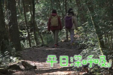 【#桑原由気 #高田憂希】「平日深呼吸。」# 55番宣｜AT-Xにて2/3（月）20:30～放送！