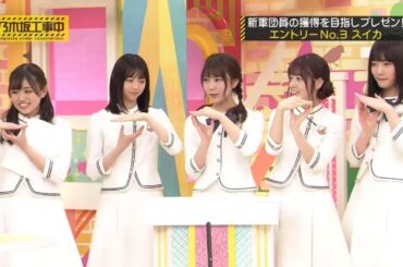 【乃木坂46】『乃木坂工事中』🌞🌞🌞「新軍団員の獲得を目指しプレゼン! エントリー No.3 スイカ」