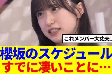 【櫻坂46】2025年のスケジュールが既に凄いことになってると話題…