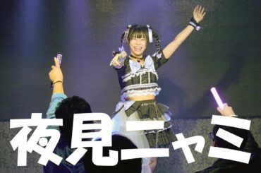 夜見ニャミ｜2024.11.28｜4K映像｜フェアリーテイルズ大阪｜夜見ニャミワンマンやるってよ！