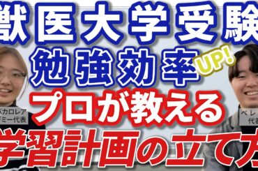 失敗しない受験勉強！学習管理のコツをプロが徹底解説