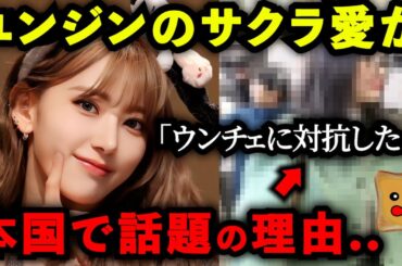 ユンジンの「サクラ愛」が本国で今話題の理由..【LE SSERAFIM】