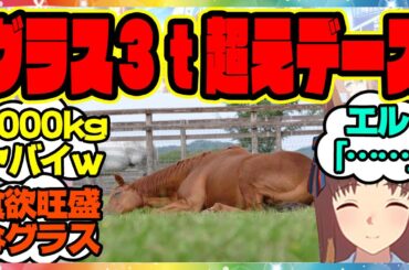 『グラスワンダーさん、ついに3tに達してしまう』に対するみんなの反応集 まとめ ウマ娘プリティーダービー レイミン