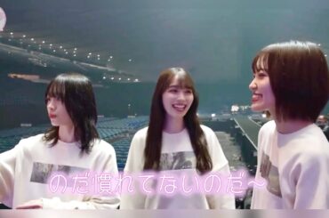 櫻坂46「れなぁ ハム 狂犬」