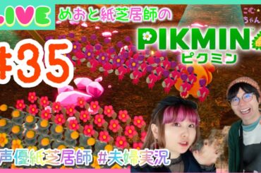 【ピクミン４】#35 初めてのピクミンやってくよ！！【初見プレイ】【夫婦配信】