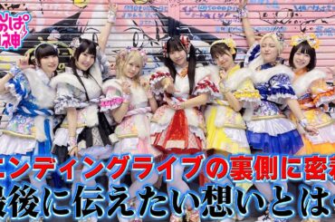 でんぱの神神「エンディングライブの裏側に密着！最後に伝えたい想いとは…」