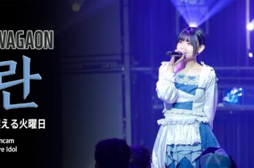 [라이브아이돌 직캠 4K] 와가온 란 -  燃える火曜日 (WAGAON  Ran) | 소원궤도 | WestBridge | 250126