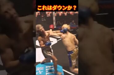 激アツ！冨澤大智vs井原良太郎#ブレイキングダウン12 #井原良太郎 #冨澤大智 #shorts