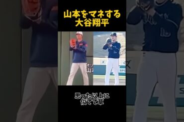 山本由伸を真似する大谷翔平 #野球 #プロ野球 #大谷翔平 #山本由伸 #ドジャース #メジャーリーグ #mlb #worldseries #ladodgers