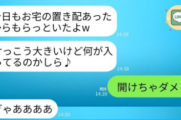 うちの敷地に無断で侵入し、置き配を盗んでいく近所の泥ママ一家が「落ちてたから拾っただけ」と言っていたので、段ボールに駆除したスズメバチの巣を入れておいたら…w