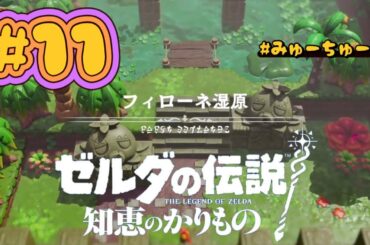 フィローネ湿原【ゼルダの伝説 知恵のかりもの #11】