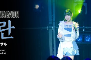 [라이브아이돌 직캠 4K] 와가온 란 -  ササル (WAGAON  Ran) | 소원궤도 | WestBridge | 250126