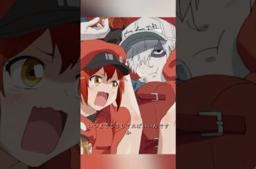 はたらく細胞、監督：鈴木健一、主演：花泽香菜 、前野智昭、小野大辅、井上喜久子  #アニメ #shorts #anime #shonen #sitcom #comedy