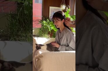 はたらくアッシュくん