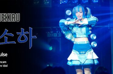 [라이브아이돌 직캠 4K] 네키루 소하 - Pulse (NEKIRU SOHA - パルス) | 소원궤도 | WestBridge | 250126
