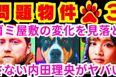 【問題物件 3話】犬頭光太郎（上川隆也）が真犯人に「ゴミは主張もする」と告げた後に前島の引きこもり息子が雑誌を投げ込んだのを見て若宮恵美子（内田理央）が発した言葉「●●ゲットです！」【ポイントまとめ】