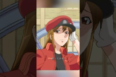 はたらく細胞、監督：鈴木健一、主演：花泽香菜 、前野智昭、小野大辅、井上喜久子  #アニメ #shorts #anime #shonen #sitcom #comedy