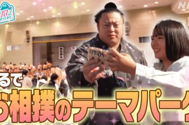 [沼ハマ] まるで相撲のテーマパーク！「巡業」を楽しもう！| NHK
