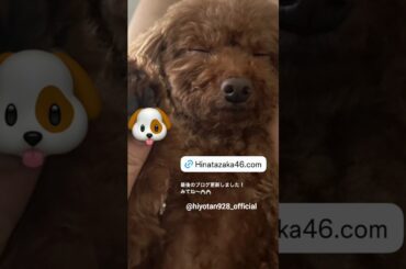 日向坂46 インスタ組からお知らせ！濱岸ひより ブログ最終回 BLT発売中！