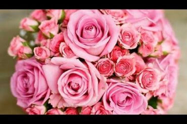 元さくら学院・武藤彩未、結婚＆妊娠を発表「お相手は一般の方」　春から「一旦お休み期間」へ【コメント全文】