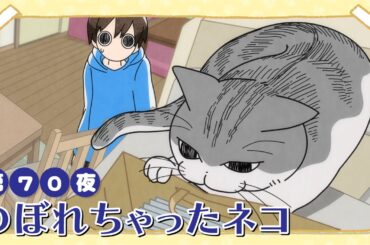 アニメ『夜は猫といっしょ』第70夜「のぼれちゃったネコ」