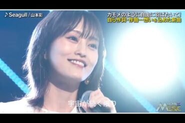 山本彩　『Seagull』2025.01.11 with music