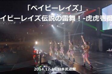 ベイビーレイズ「ベイビーレイズ」from ベイビーレイズ伝説の雷舞！-虎虎壱番- (2014.12.18 日本武道館)