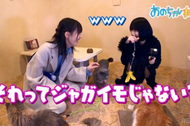 【癒やし】本田翼とあのちゃんが猫カフェで戯れる｜#あのちゃんねる #ABEMA で最新話無料配信中！