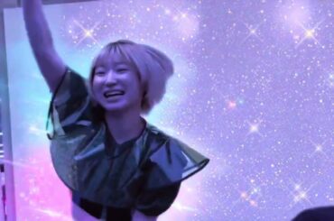 豆柴の大群HiGH  HOPES