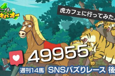 【14話】「SNSバズりレース」後編【どこでもマキバオー】