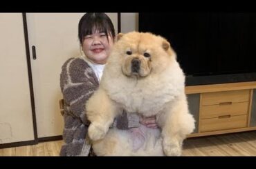 ぼる塾・あんりがチャウチャウと“わんちゃんチャレンジ動画”に挑戦　松本若菜は『西園寺さん』共演犬と感動の再会『アニマリング』