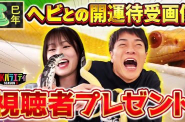 【ヘビ年企画】ヘビに巻かれる陣内とさや姉【オリジナル壁紙プレゼント】