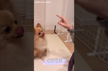 大沼晶保 ぷぐまる 1年で色んなことが出来るようになりました♪櫻坂46