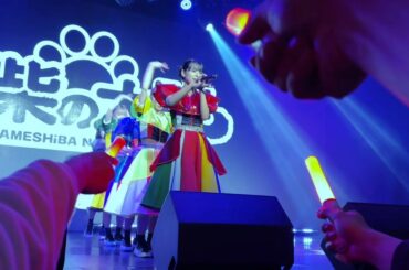 豆柴の大群-わんダーらんど(豆柴の大群 ONEMAN LiVE in TAiWAN)