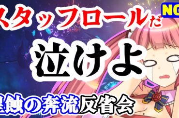 【PSO2NGS】賛否両論のヴァエル戦＆ストーリーの事をゆるーく話そう【星蝕の奔流】