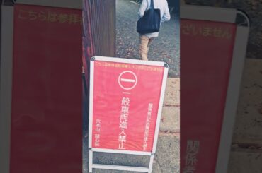 第31回　東急カルチャーウォークに参加しますね。楽しみにしております。ワクワクしますね。KBS京都のアナウンサーの海平和さんと梶原誠さんに逢いました。随心院に来ましたよ。