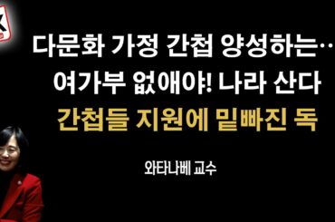 간첩 다문화 가정 양성, 점령 [와타나베 미카 교수]
