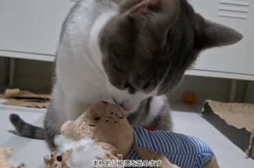 クリスマスプレゼントだよアッシュくん