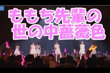 ももち先輩の世の中薔薇色