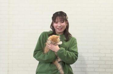 ＜横山由依コメント＞ ネコにゃん～子猫はじめて体験物語2025～ | ＢＳテレ東