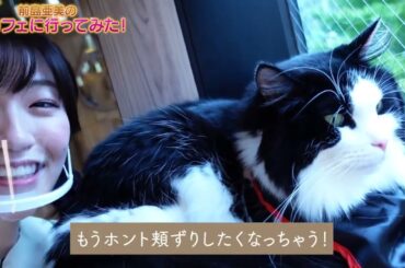 【癒し】前島亜美が猫カフェに来たら帰れなくなってしまいました