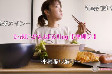 たまにがんばるVlog？【沖縄編②】