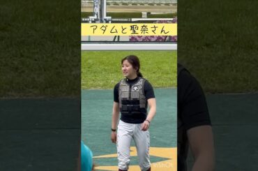 アダムと聖奈さん #shorts #short #shortvideo #今村聖奈