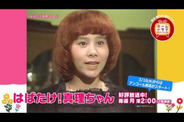 【3月】〈連続企画〉天地真理特集「真理ちゃんシリーズ」