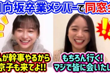 影山優佳が齊藤京子を一期生の同窓会に誘うシーン【文字起こし】日向坂46