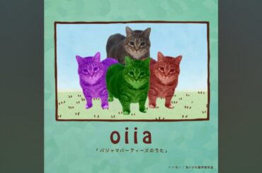 ちいかわ パジャマパーティーズのうた OIIA OIIA CAT version (Chiikawa pajama parties song)